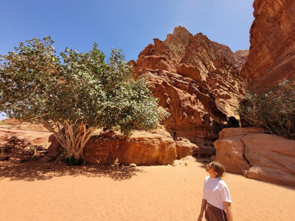 Bed and Breakfast Moon City Camp Wadi Rum Exterior foto